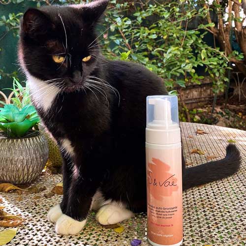 Vegan ou Cruelty-free? On t'explique comment ne plus te tromper sur ces labels cosmétiques !
